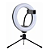 Ring Light De Mesa Iluminador De Led Tripé 8 Polegadas com Suporte Celular - Imagem 1