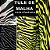TULE DE MALHA ZEBRA COM ELASTANO 7 OPÇÕES DE CORES TENDÊNCIA INVERNO 2024 PARA FAZER VESTIDOS, SAIAS, BLUSAS, CONJUNTOS - Imagem 1