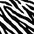 TULE DE MALHA ZEBRA COM ELASTANO 7 OPÇÕES DE CORES TENDÊNCIA INVERNO 2024 PARA FAZER VESTIDOS, SAIAS, BLUSAS, CONJUNTOS - Imagem 4