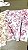TECIDO CREPINHO FLORAL VINTAGE ROMÂNTICO FUNDO BRANCO PARA CONFECÇÃO DE VESTIDOS, SAIAS, BLUSAS, ETC. - Imagem 15
