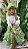 FEITICEIRA DAS FLORES E ERVAS - VERDE CLARO - Imagem 1