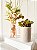 Kit Difusor Jardim Nude P+ Vaso Cachepô Nude - Imagem 1