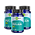 Psyllium 500mg 60 Cápsulas - QualyNutri - Imagem 3