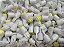 LAMPADA LED T10 4 LEDS COLB 6000K 12V - Imagem 2