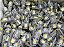 LAMPADA LED T10 4 LEDS SILICONE 6000K 12V - Imagem 3