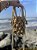 PETIT KNOT - MEL - Imagem 1