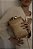 CLUTCH PALHA - GOLD - Imagem 1
