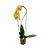 Orquídea Phalaenopsis Amarela - Imagem 1