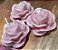 Lembrancinhas caixa de Rosas (10 unid.) - Imagem 11