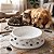 Decalque para Porcelana - Complementos Gatos e Cachorros - Imagem 2