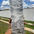 Rockface Silver - Imagem 2