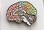 Broche cérebro colorido - Imagem 1