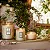 Vela Pote de Vidro P 25h Jasmine Midnight Blooms - Voluspa - Imagem 3