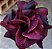 ROSA DO DESERTO LK 400 - Imagem 1