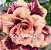 ROSA DO DESERTO GOOD FATH PERFUMADA - Imagem 1