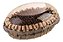 MOSTARDA SACHET CX C/144 X 5GRS - PREDILECTA - Imagem 2