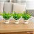 3 Vasinhos Decorativos Com Folhagem Eucalipto - Imagem 1