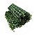 Placa Grama Buchinho Jardim Vertical Premium Painel Muro Folhagem Artificial - Imagem 2