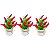 3 Vasinho Decorativo Pimenta Decoração De Cozinha Mesa Posta Kit 3un - Imagem 1