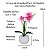 Arranjo Orquidea Siliconada Efeito 3D Realista Com Vaso Pedrinhas - Imagem 4