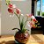 Arranjo De Orquidea Siliconada Efeito 3D Realista Com Vaso Vidro Cascalho Natural - Imagem 1