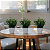 3 Vasinhos Decorativos Com Folhagem Eucalipto Trio Pronto - Imagem 1