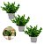 3 Vasinhos Decorativos Com Folhagem Eucalipto Trio Pronto - Imagem 1