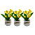 Trio Vasinhos Orquidea Chuva De Ouro Decorativo - Imagem 5