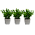 Trio Vasinhos Decorativos Com Plantinha Folhagem Eucalipto Artificial - Imagem 4