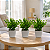 Trio Vasinhos Decorativos Com Plantinha Folhagem Eucalipto Artificial - Imagem 1