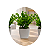 Trio Vasinhos Decorativos Com Plantinha Folhagem Eucalipto Artificial - Imagem 3