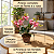 Arranjo Orquidea 5 Galhos Com Vaso Estilo Junco Rosa - Imagem 2