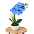 Arranjo Orquidea Azul Efeito 3D Realista Com Vaso Musgo Natural Pronto - Imagem 1