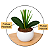 Arranjo Orquidea Azul Efeito 3D Realista Com Vaso Musgo Natural Pronto - Imagem 3