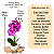 Arranjo Orquidea Roxo Efeito 3D Realista Com Vaso Musgo Natural Pronto - Imagem 4