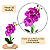 Arranjo Orquidea Roxo Efeito 3D Realista Com Vaso Musgo Natural Pronto - Imagem 2