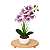 Arranjo Orquidea Vinho Rajado Efeito 3D Realista Com Vaso Musgo Natural Pronto - Imagem 1