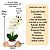 Arranjo Orquidea Branca Efeito 3D Realista Com Vaso Musgo Natural Pronto - Imagem 4