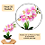 Arranjo Orquidea Rosa Efeito 3D Realista Com Vaso Musgo Natural Pronto - Imagem 2