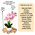 Arranjo Orquidea Rosa Efeito 3D Realista Com Vaso Musgo Natural Pronto - Imagem 4