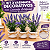 3 Vasinhos Decorativos Com Lavanda Artificial - Imagem 2