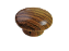 PUXADOR PONTO DE MADEIRA CEREJEIRA PARA MÓVEIS (1550/P3 C) - Imagem 4