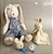 COELHO INFANTIL ORELHUDO - Imagem 7