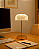 ABAJUR LED ACRÍLICO FLOME 3W ROSE GOLD - Imagem 2