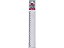 REGUA ACRILICA 20CM REF.512.0 CR - Imagem 2