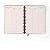 Agenda Planner Wireo 17x24 Semanal Planejamento Petit Lambreta - Imagem 5
