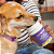 Multivitamínico Conviver 84g | Suplemento Nutricional para Cães e Gatos - Imagem 6