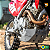 Protetor de Motor CRF 250F Cinza - Imagem 3