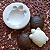 Molde Chocolate tartaruga - Imagem 1