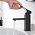 Torneira Bica Baixa Monocomando Quente/Frio Aço Inox Black Sowshop 33 - Imagem 3
